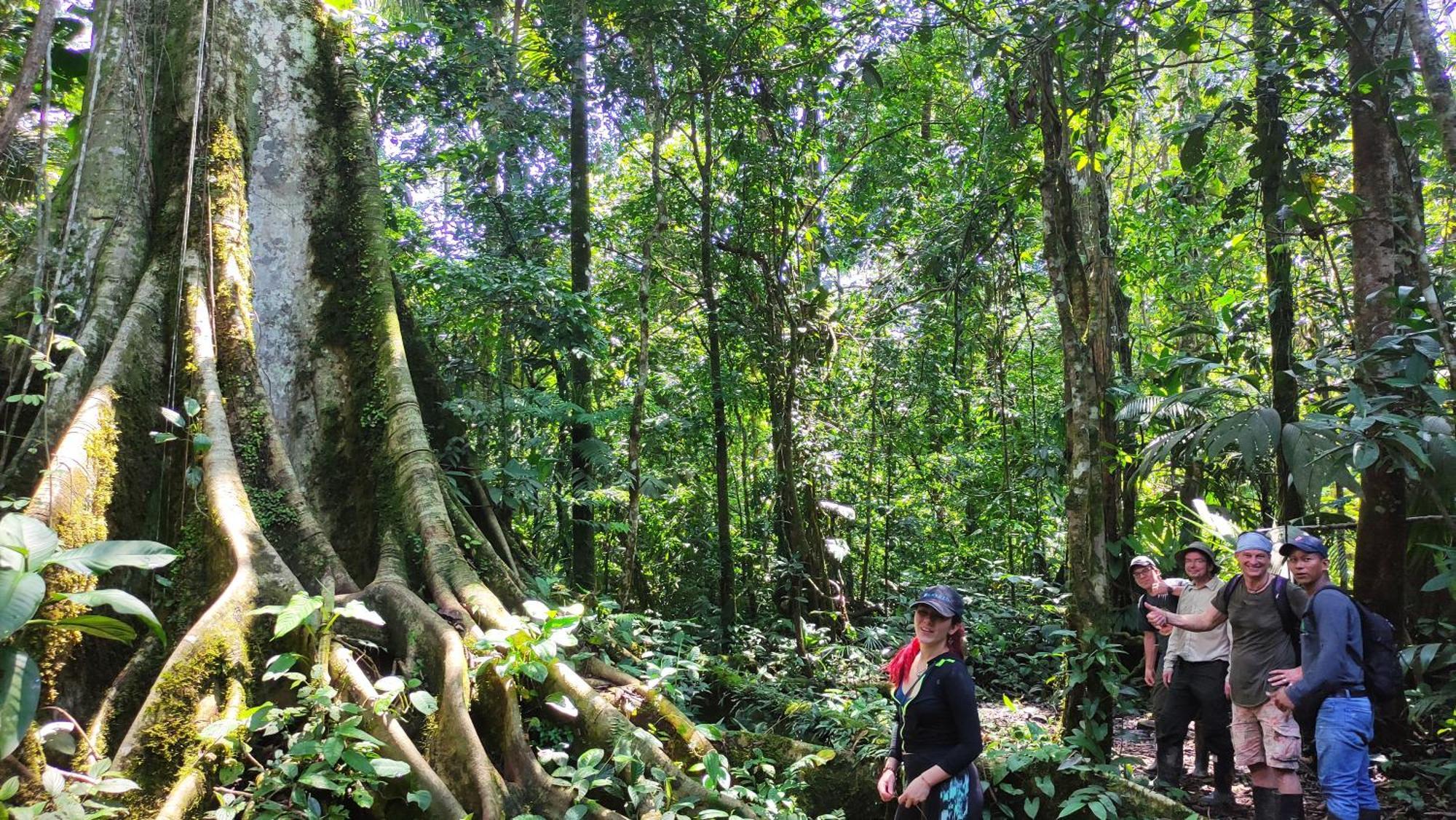 Gaia Amazon Eco Lodge Ahuano Exterior foto